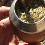 Cómo preparar un buen mate